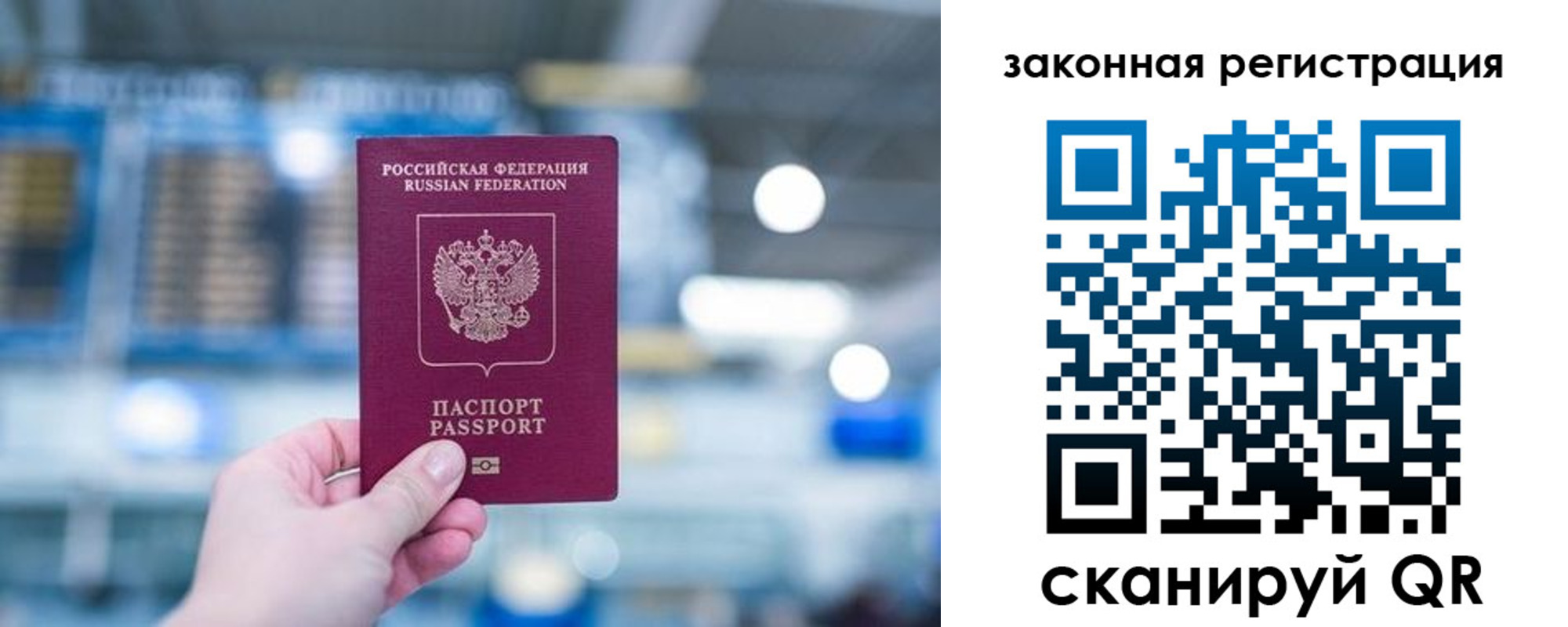 прописка поиск в Никольске